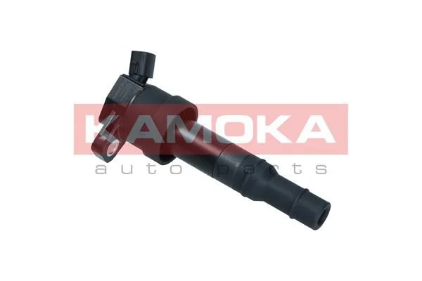 Ritė, uždegimas KAMOKA 7120006