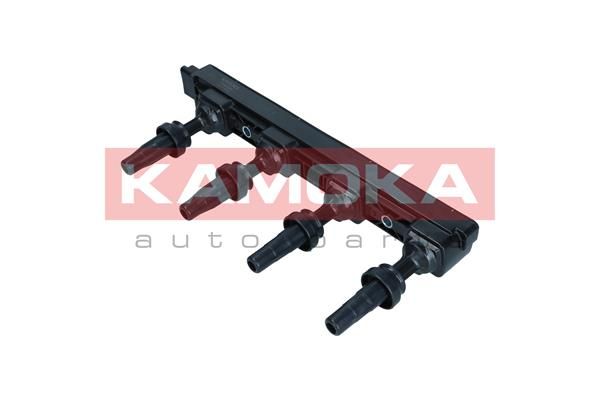 Ritė, uždegimas KAMOKA 7120026