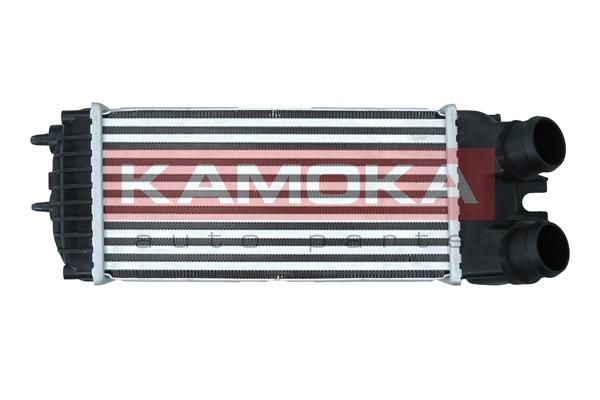 Charge Air Cooler KAMOKA 7750049