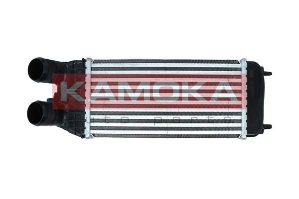 Charge Air Cooler KAMOKA 7750064