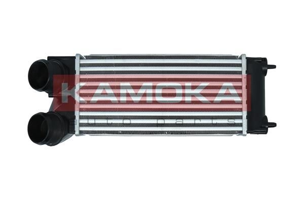 Charge Air Cooler KAMOKA 7750119