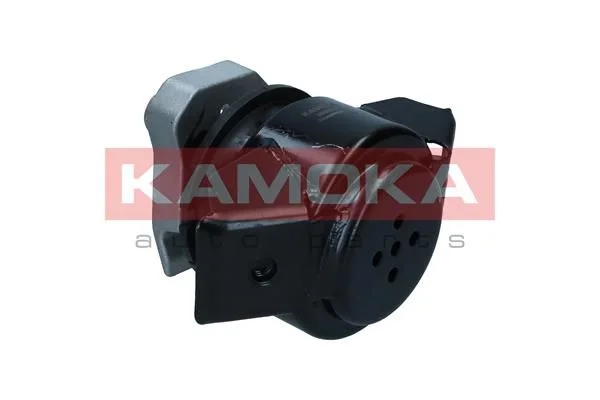 Variklio montavimas KAMOKA 890521