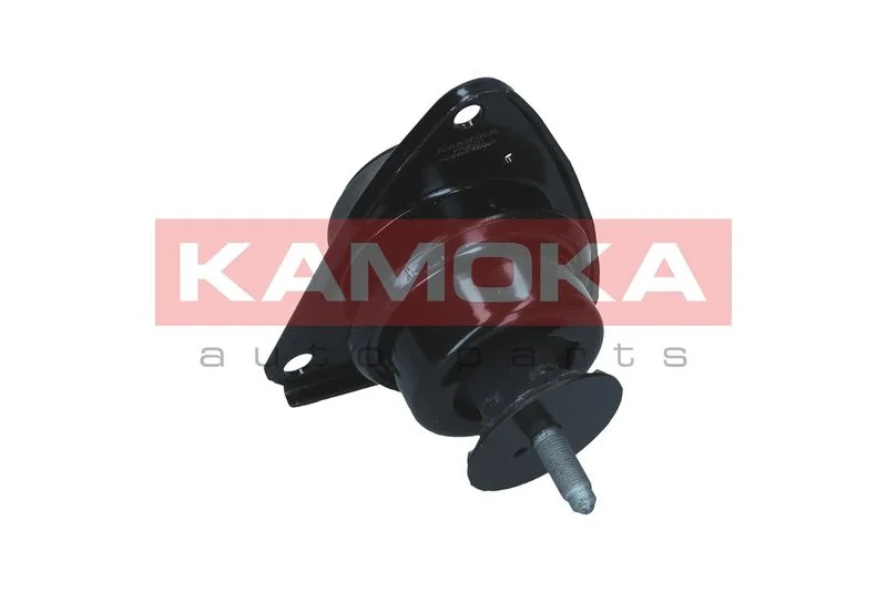 Variklio montavimas KAMOKA 890820