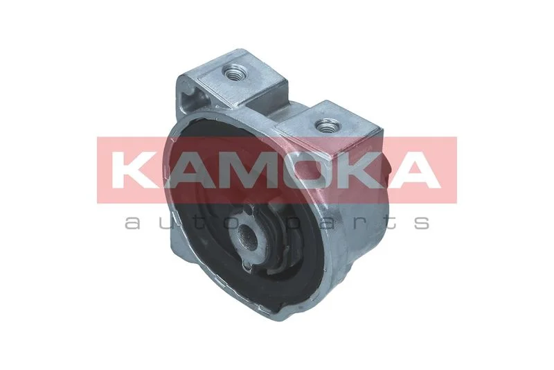 Variklio montavimas KAMOKA 890868