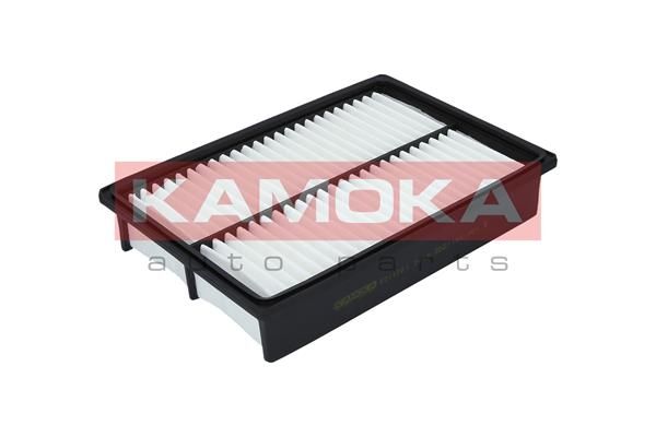 Oro filtras KAMOKA F211701