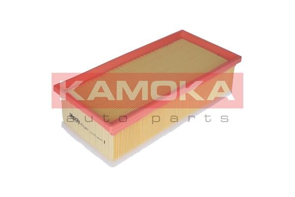 Oro filtras KAMOKA F213201