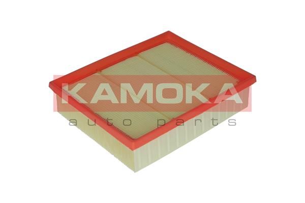 Oro filtras KAMOKA F219801