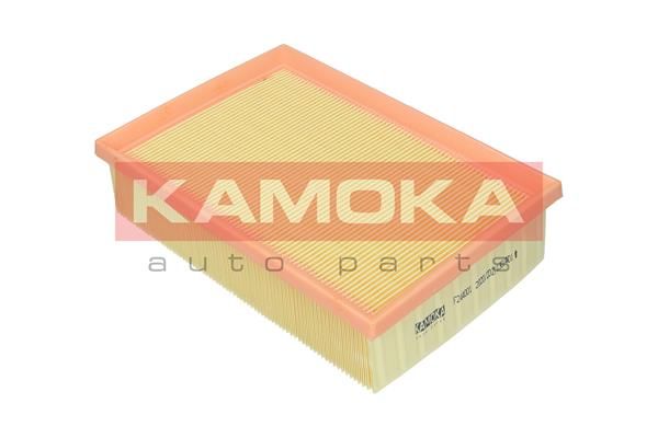 Oro filtras KAMOKA F244001