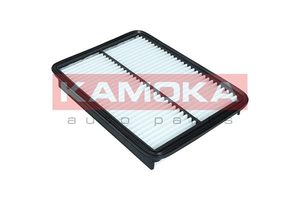 Oro filtras KAMOKA F245501