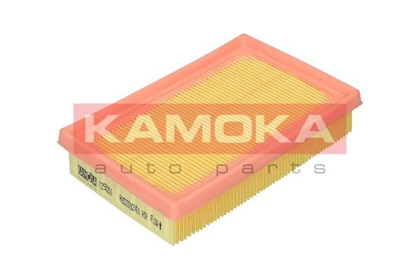 Oro filtras KAMOKA F250201