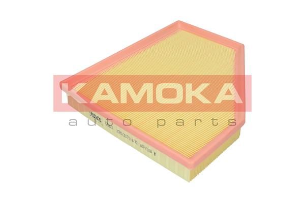 Oro filtras KAMOKA F252601