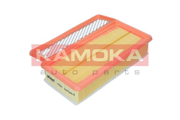 Oro filtras KAMOKA F253001