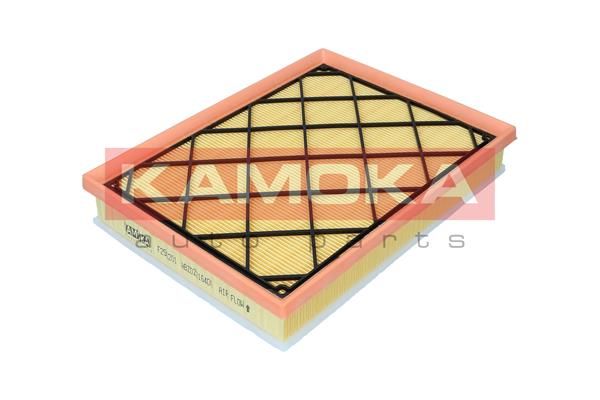 Oro filtras KAMOKA F256201