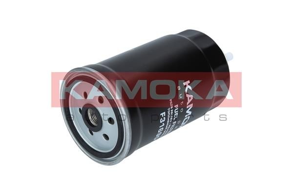 Фільтр палива KAMOKA F316901
