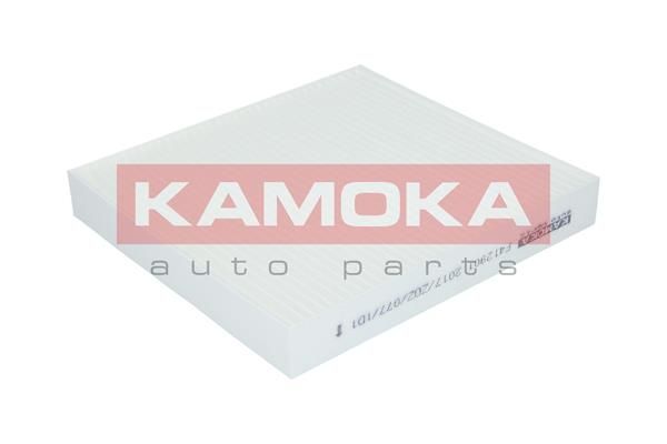 Filtras, salono oras KAMOKA F412901