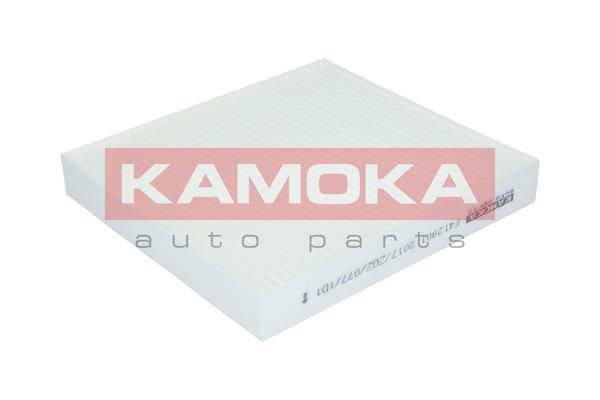 Фільтр, повітря у салоні KAMOKA F412901