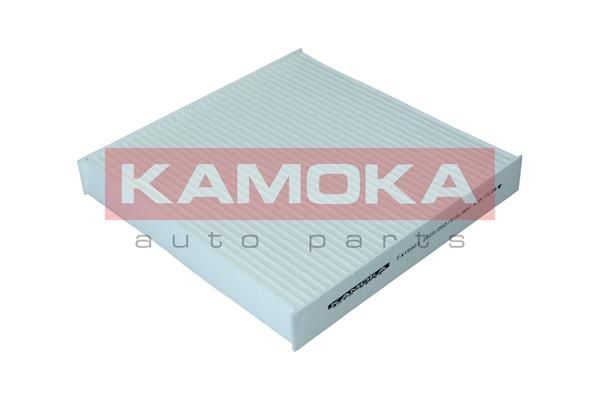 Filter, cabin air KAMOKA F419901