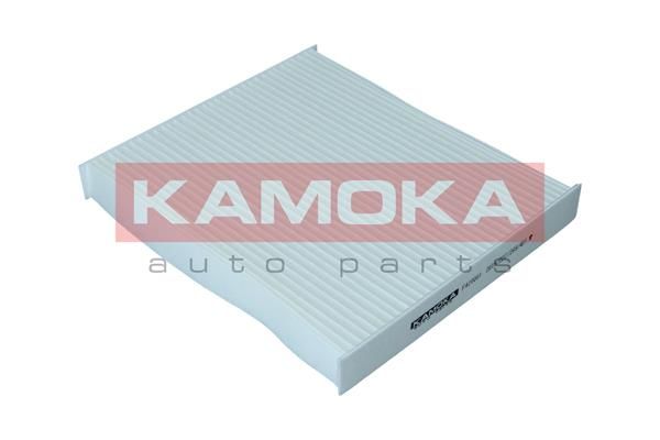 Фільтр, повітря у салоні KAMOKA F420001