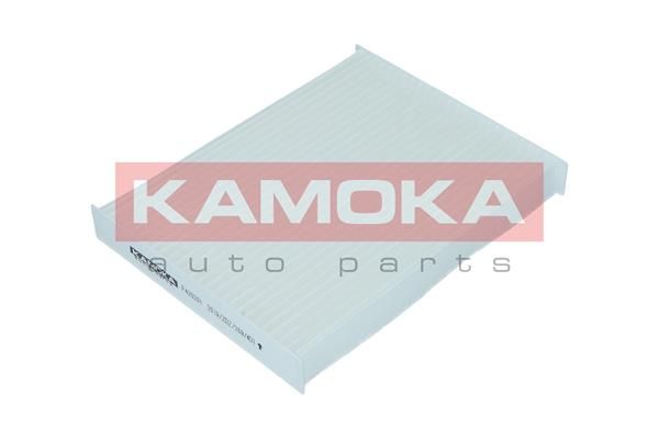 Filtras, salono oras KAMOKA F420201