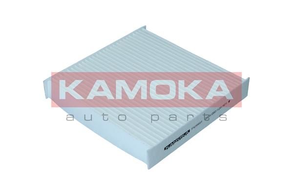 Filtras, salono oras KAMOKA F420601