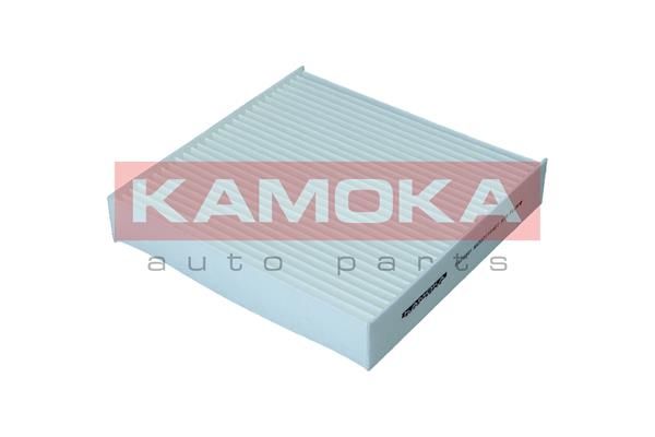 Filter, cabin air KAMOKA F423801