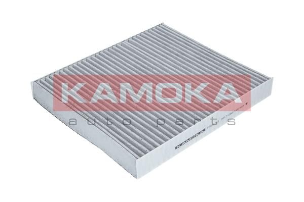 Filtras, salono oras KAMOKA F503301