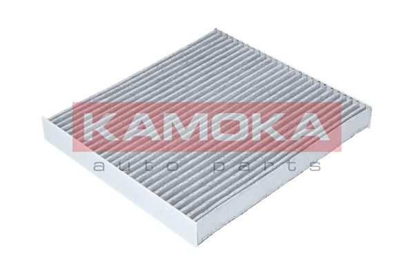 Фільтр, повітря у салоні KAMOKA F505401