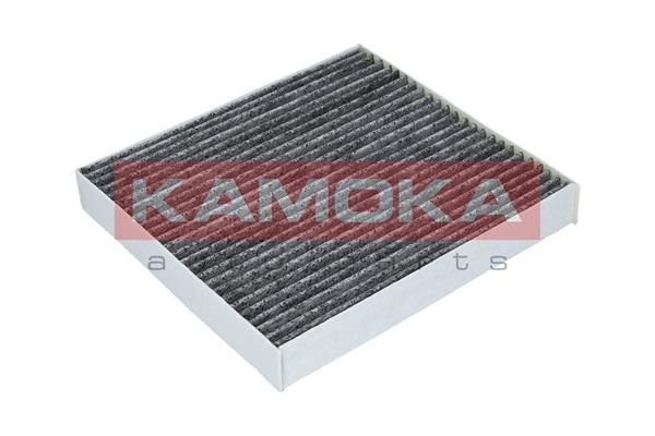 Filtras, salono oras KAMOKA F509901