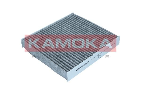 Filtras, salono oras KAMOKA F511901