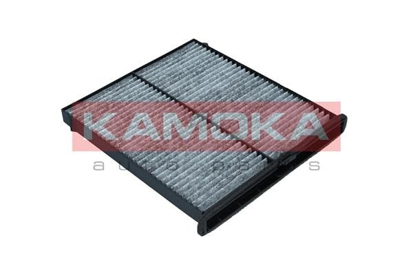 Filtras, salono oras KAMOKA F512401