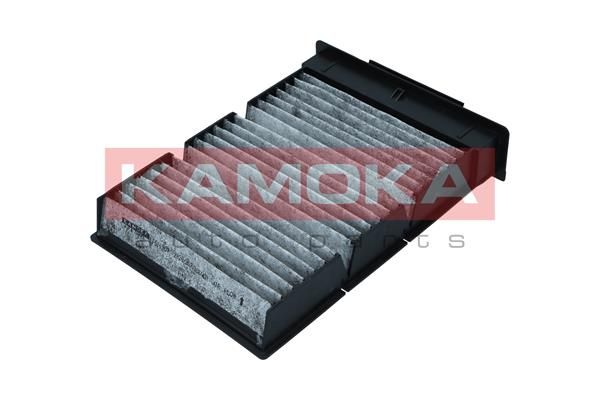 Filtras, salono oras KAMOKA F515201