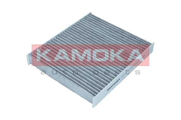 Filtras, salono oras KAMOKA F517501