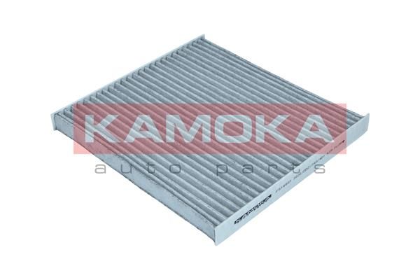 Filtras, salono oras KAMOKA F518801