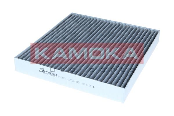 Filtras, salono oras KAMOKA F524601