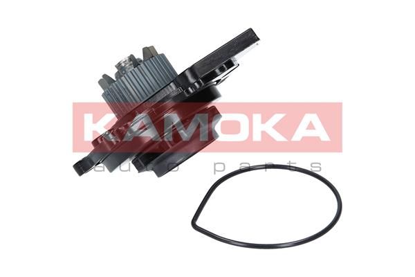 Water Pump, engine cooling KAMOKA T0031