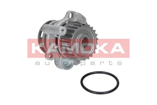 Water Pump, engine cooling KAMOKA T0033