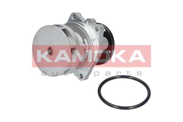 Water Pump, engine cooling KAMOKA T0059