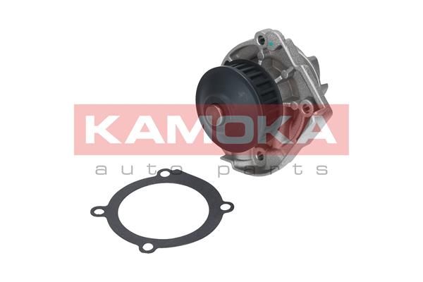 Насос охолоджувальної рідини, охолодження двигуна KAMOKA T0118