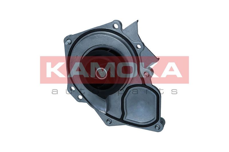 Water Pump, engine cooling KAMOKA T0289