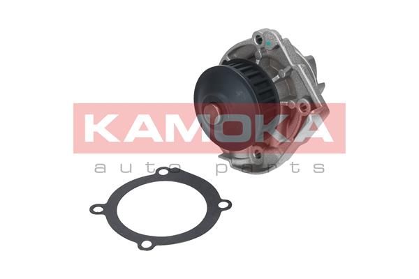 Насос охолоджувальної рідини, охолодження двигуна KAMOKA T0118