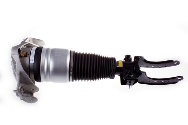 Air Suspension Strut DENCKERMANN DSA014G