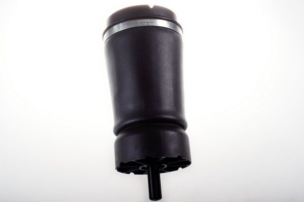 Air Spring, suspension DENCKERMANN DSA112G