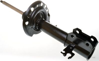 Amortizatorius DENCKERMANN DSB050G
