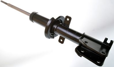 Shock Absorber DENCKERMANN DSB084G