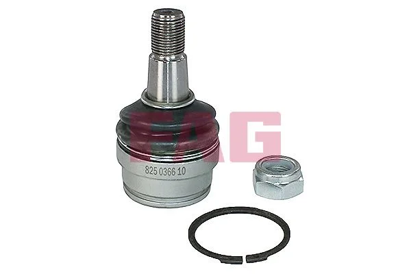 Šarnyras / girgždukas FAG 825 0366 10