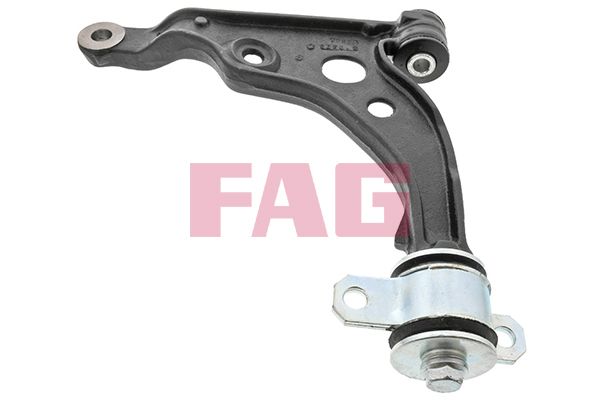 Control/Trailing Arm, wheel suspension FAG 821 0809 10