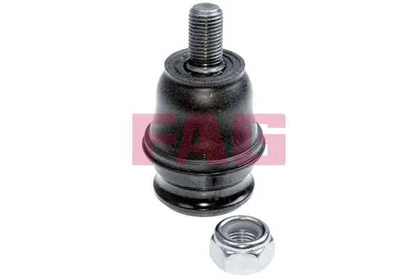 Šarnyras / girgždukas FAG 825 0077 10