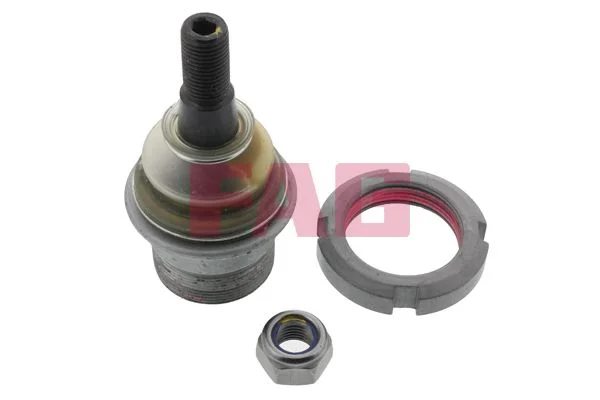 Šarnyras / girgždukas FAG 825 0079 10
