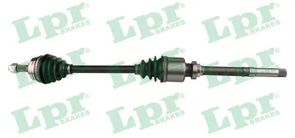Pusašis LPR DS16205