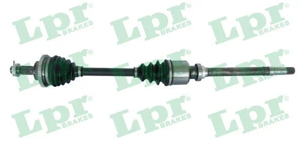 Pusašis LPR DS38181